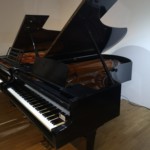 BÖSENDORFER 225 GEBRAUCHT KAUFEN